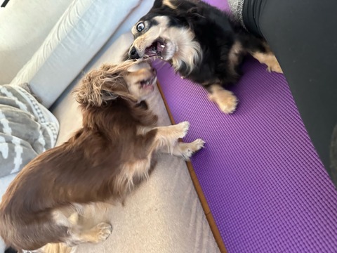 8CFFE249-3CD2-498A-BA97-CA777554418F