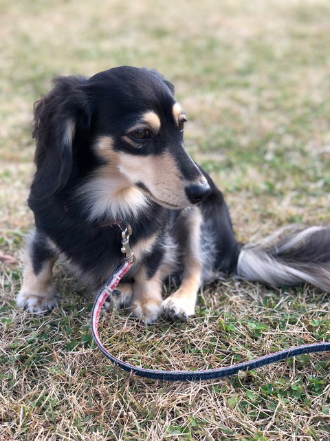 94463881-0292-4D64-885C-D77B62D71ACA