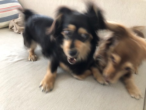 7F9E42EF-51BE-47E5-A973-7F5605419DD2