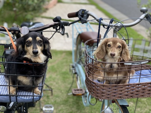 F017B4A8-71BA-49FB-84EF-32BD425B3988