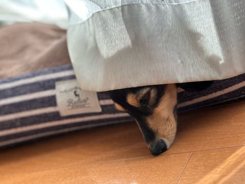 15C22CFF-EB1D-451C-9A6C-BE18BD4E898C