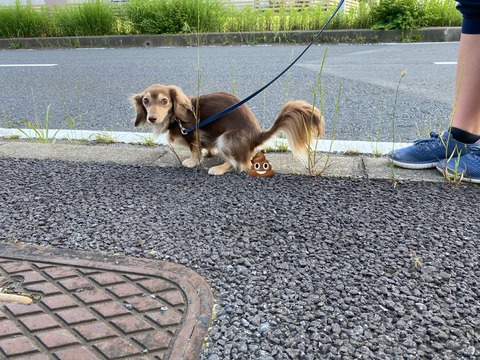 C98C8371-C8C4-453C-9A10-642F90401CBB