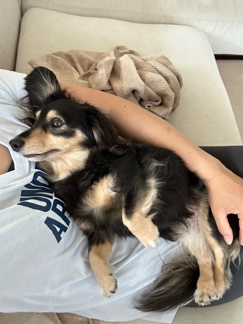 0EEC360B-A589-4FA5-BBAD-E8FC6C94B4DB