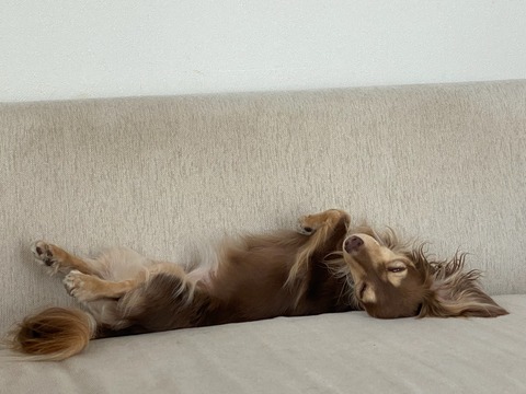 20F1F1EF-0AF4-4000-98FE-A4F6C41C15C2