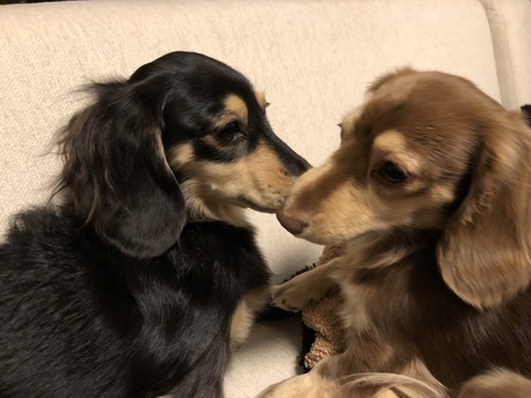 C5136711-CB36-4398-89DC-9BAA24809E9C