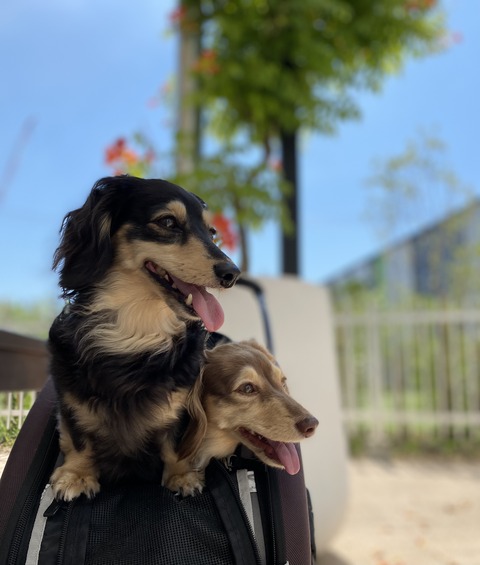 588F9160-D141-4A44-9503-ED115D228C96