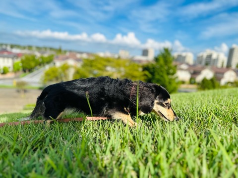 F50C3427-5CA0-4735-BE23-08AFD119C0E1