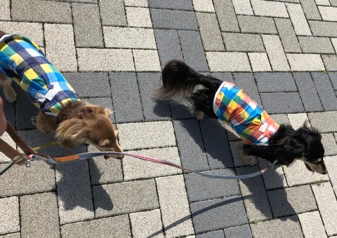 3D16CD06-AE8B-4C78-8F49-07153AE9B458