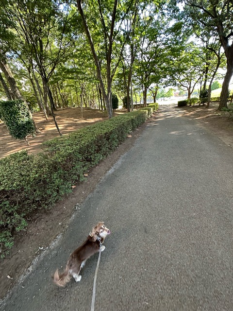 EA616EB3-4EB1-4BF5-8979-4F082D485F04