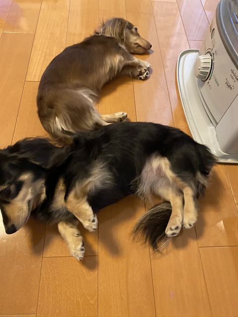 592E4763-6185-4066-BBC2-EDDE05DDB6DC