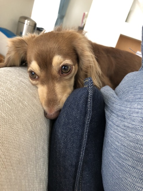 0A3F2206-D387-4847-B93D-5C4041E340E8