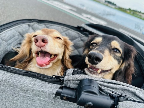 80C4571B-3705-4147-97EF-7D90C535B70B