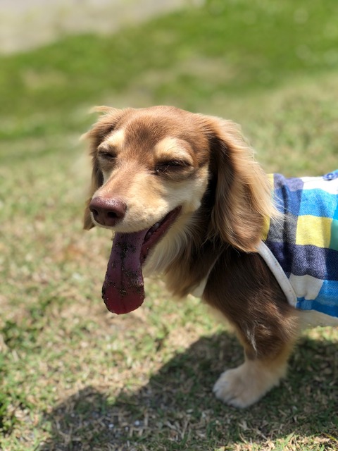 B5C6B794-3456-492F-8879-11F5D230F0D2