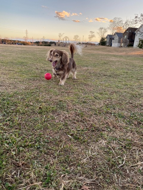 ADB23229-4BF4-42ED-859E-6E00E074CB98