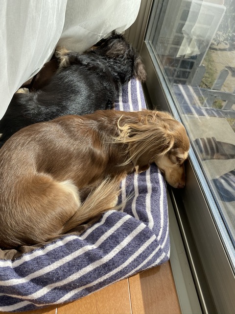 E9167AEA-877B-4C8F-BE2F-91B47DB75344