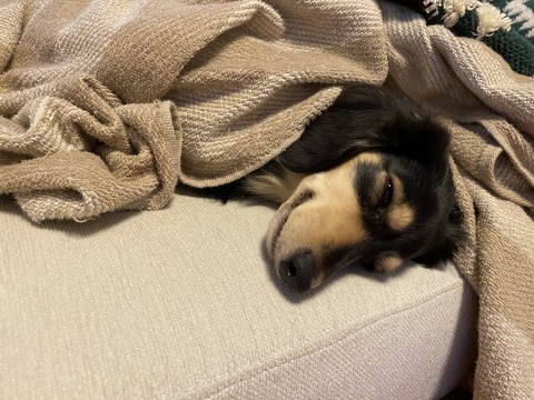 27D2615B-CB2B-4BE3-B8C5-55A0DBA28BCF