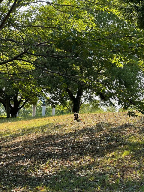 9CACC008-EFD6-4E48-8874-7E904FB21A5E