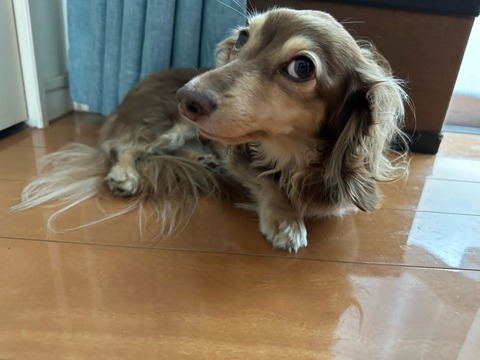 36820C22-B5E3-49CB-82E9-6A18149A78EA