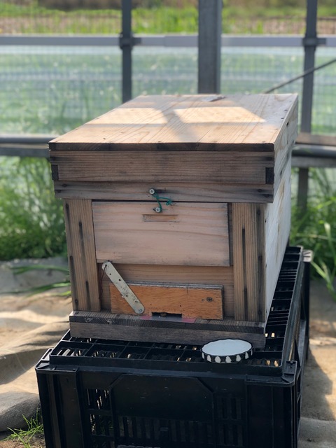 507236B2-281C-4692-B230-548A34E0E6F7