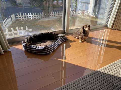 14496945-7A80-4497-92AB-56D3A91FA24E