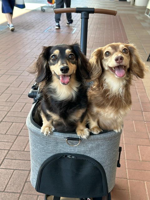 7DFD7659-94CD-4E64-B126-DE8921E1ABC8