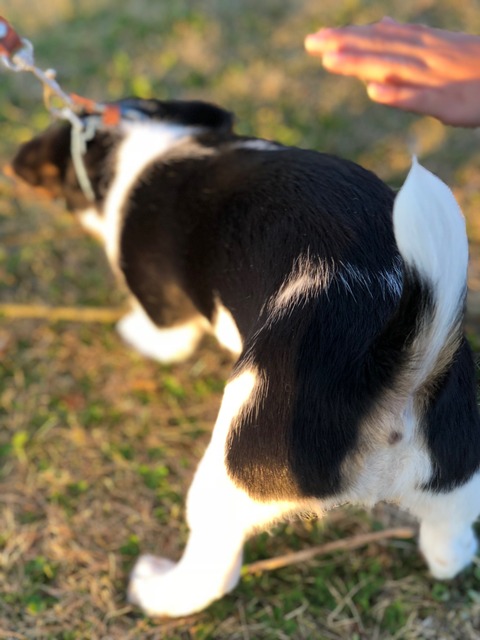 B81AFCC5-E415-4959-ABD8-BF5A7EA27DD2