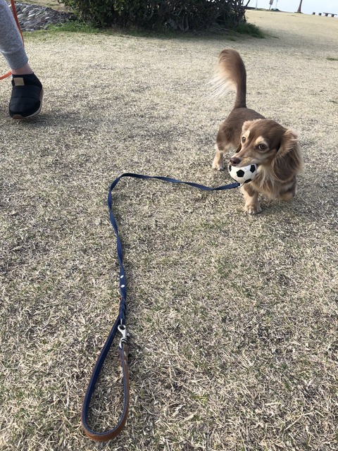 1CE6EFF9-E28D-4CCF-88A0-DBB47255940E