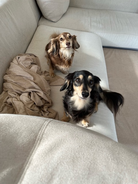 CCB2F349-4B20-4DAB-A22B-9F497A699C3E