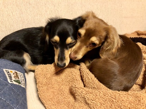 3EFF9AB6-D9CD-47BD-AD1F-0B800DB80F43