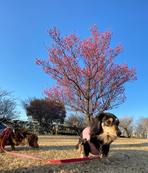 D0EACB9F-8184-4600-B573-8EC0CEE1D846