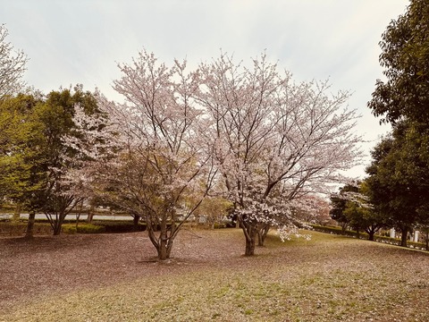 D3B6F6B9-199B-4CB6-B9DA-AF663AE4CBFD