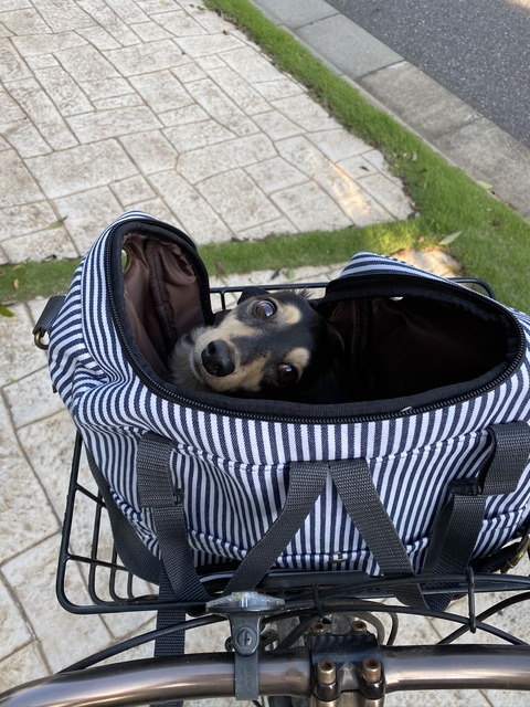 61F3AFD0-FCA8-4DE0-8E05-E8496263178A