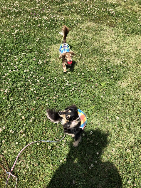 325E08CD-97B4-4B7D-A110-AD5945F55A06