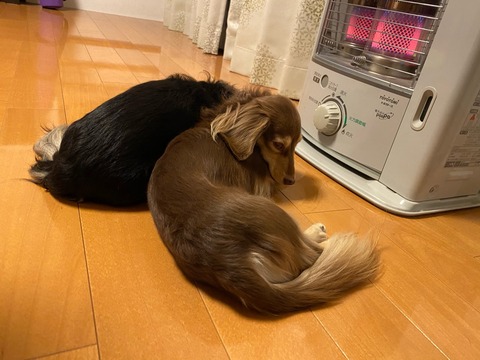 340B35DA-3DAF-4E5E-BC9B-DE4FFB82F1E0