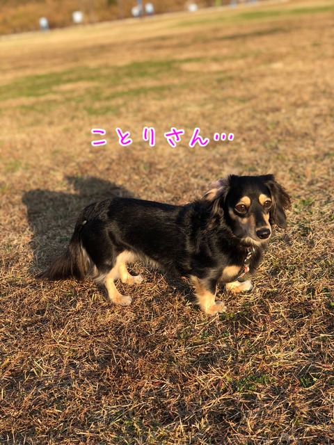 9A316FD7-896B-43F7-9CB3-C4B490D0B3B2