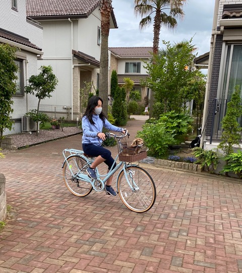 07F3F032-B735-4D1E-8746-520857ED5421