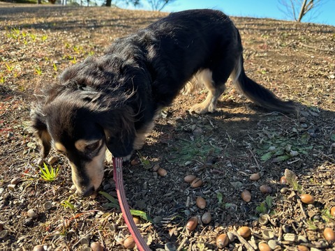 F30B67E1-6E71-4BBC-BCFE-DC2123009040