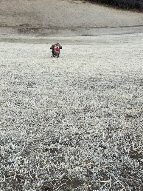 CC5EA073-841C-44C1-A4D7-D50B2CA227BD