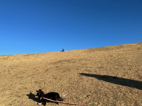 131EB4A2-5647-4D16-BFDF-FB50EC21BD3E