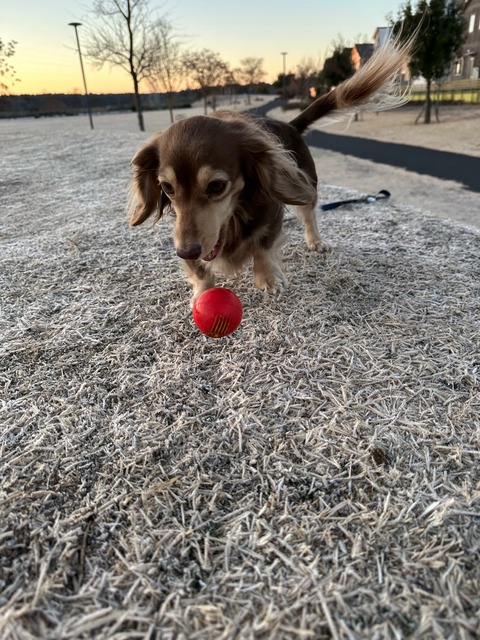 747686CB-C737-4DAF-B202-6F35736780A1