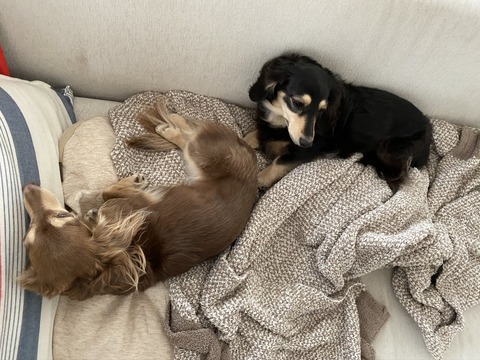 431FA471-C5C3-4EA8-81D0-665833434CFF