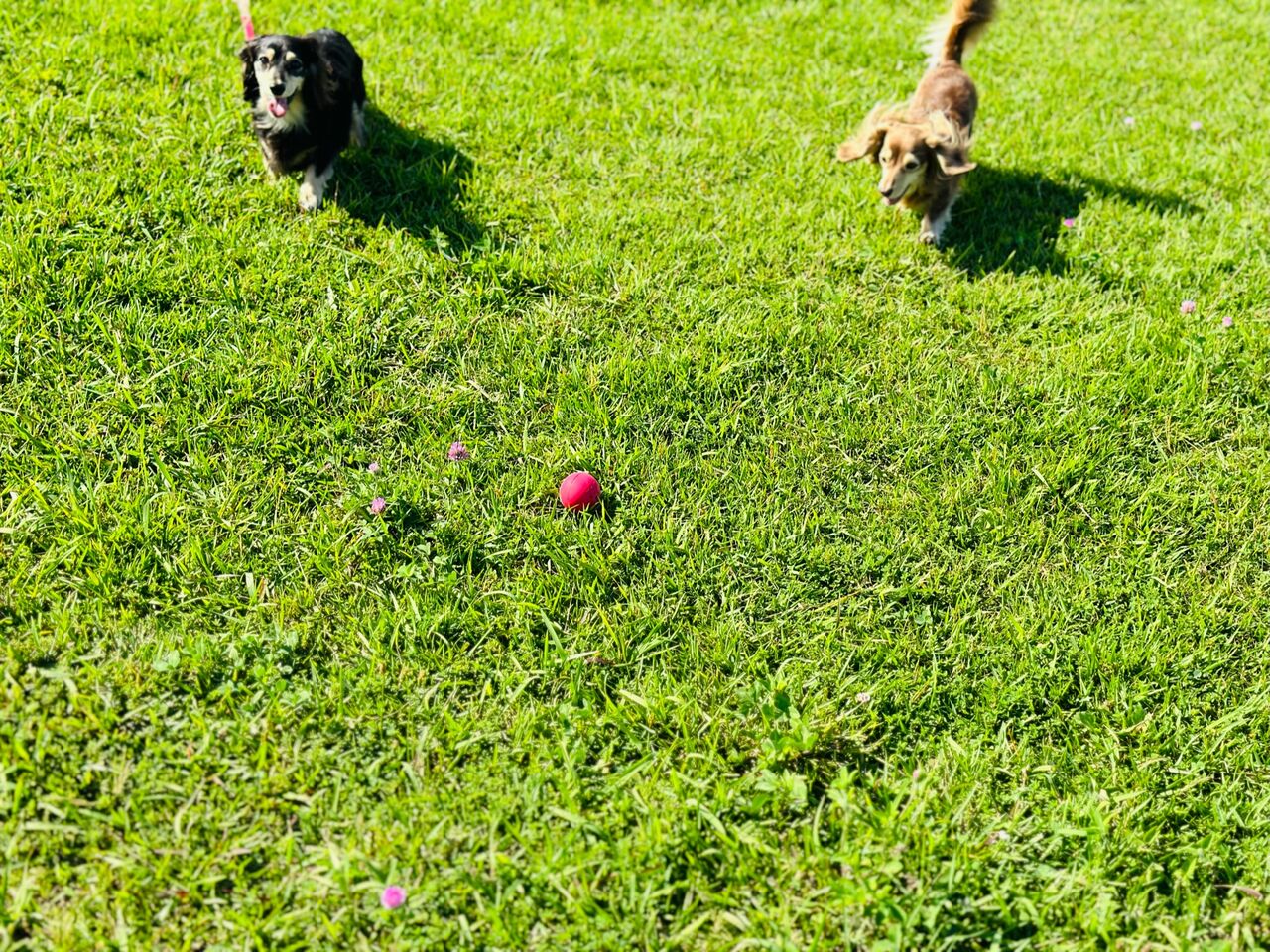 Every Day Is A Good Day every-day-is-a-good-day