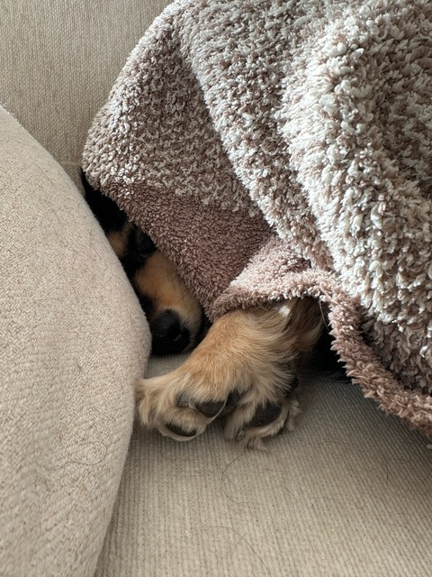 BBC17D2E-5FAA-427B-AA8D-37973405359B