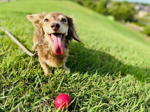 8143C731-299D-4800-8A93-32243021B1BD