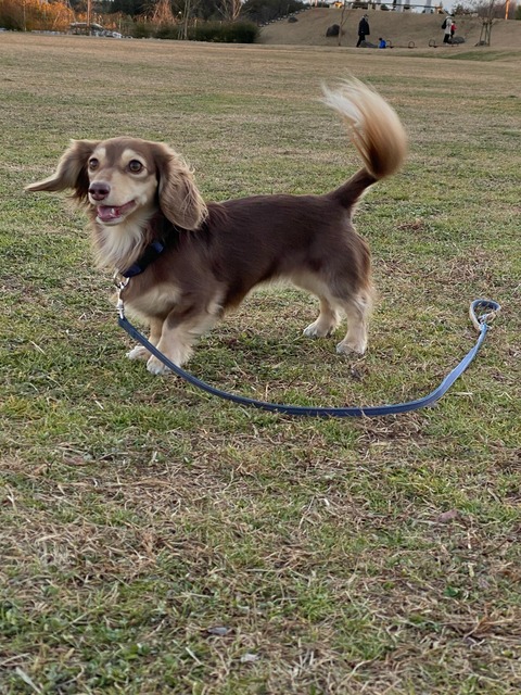 7FC4953D-913F-4815-9893-F270387ED0D8