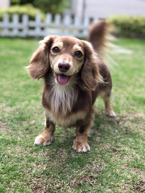 F16A8461-9337-43E5-92EF-486E078116A2