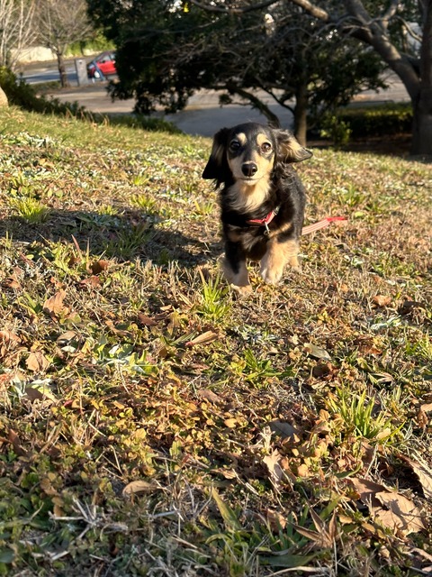 83A2D1BA-77E8-4986-84C4-5ECA9E3CD173