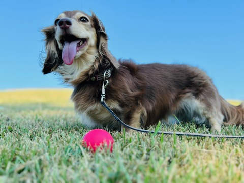 E82A097D-F419-4414-94E3-FA368F47C77A