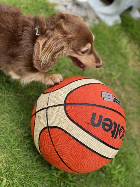 02E59EE1-6EE4-4832-8F7C-8BB6ACB7FB6D