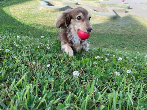 216E689F-1009-410D-9403-9CAC3576664C